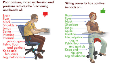 Saddle Chairs Unveiled: Discover the Health Benefits