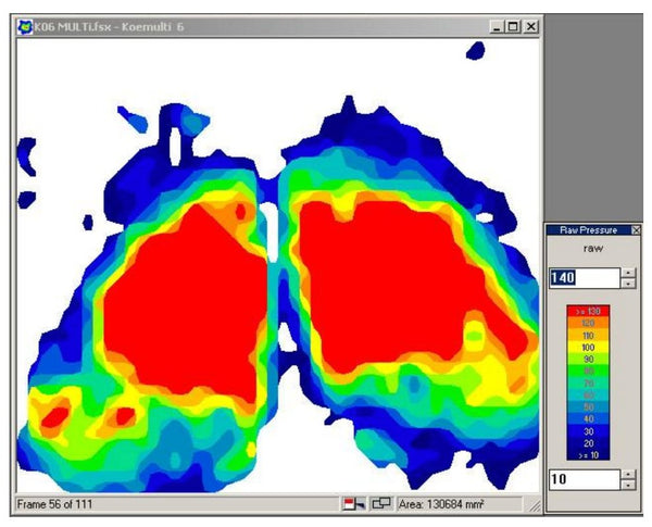 Salli vs Bambach sitting pressure study