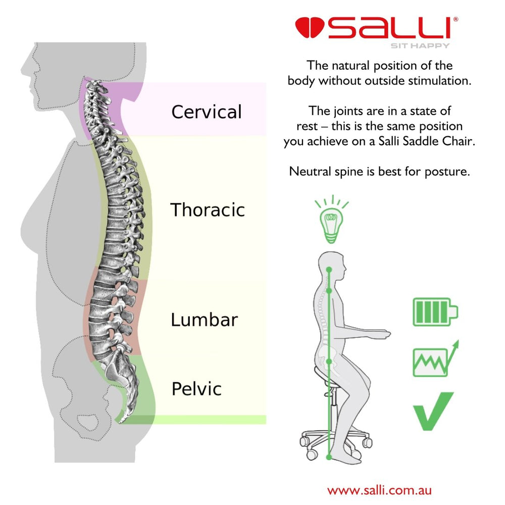 Saddle chairs, neutral spine and
