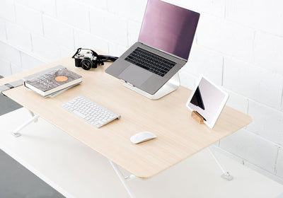 MOVI SIT-STAND DESK